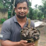 ପରିବେଶ ସୁରକ୍ଷା ପାଇଁ ଆମ୍ବ ଟାକୁଆ ରୋପଣ